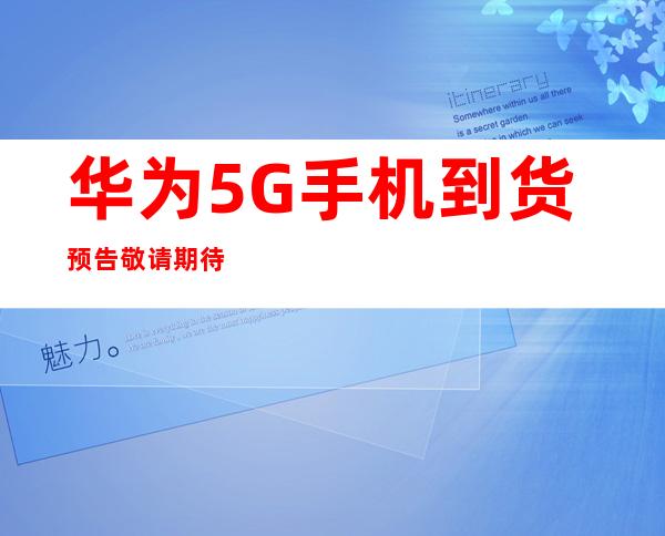 传承红色血脉，筑牢Weilink长城